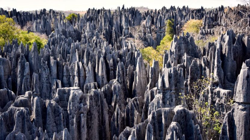 madagascar stone forest