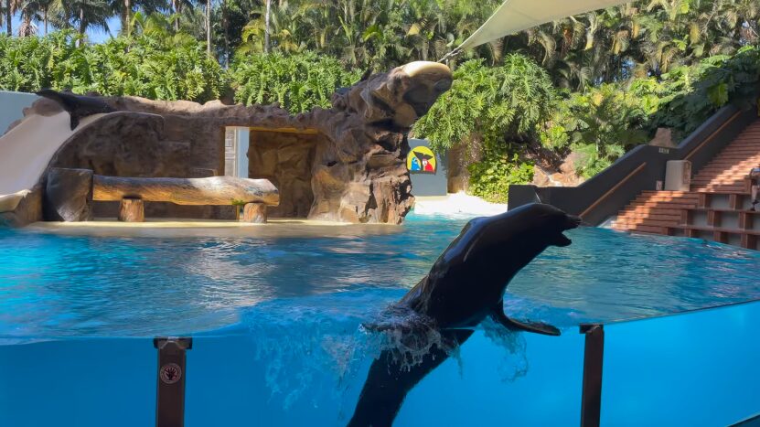 Loro Parque, Tenerife